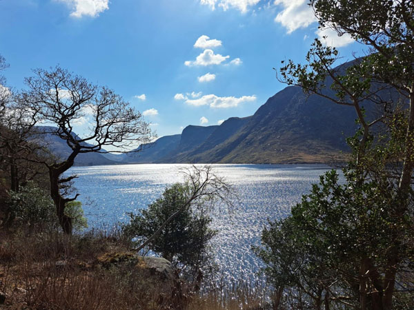 Sightseeing_Ring_Of_Kerry_600